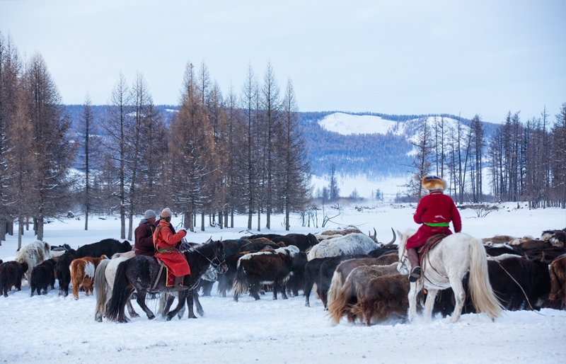 Mongolia winter photography 